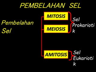 PEMBELAHAN SEL
Pembelahan
Sel
MITOSIS
MEIOSIS
AMITOSIS
Sel
Prokarioti
k
Sel
Eukarioti
k
 