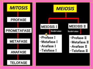 MITOSIS
PROFASE
PROMETAFASE
METAFASE
ANAFASE
TELOFASE
MEIOSIS
MEIOSIS I MEIOSIS II
-Profase I
-Metafase I
-Anafase I
-Telofase I
-Profase II
-Metafase II
-Anafase II
-Telofase II
Terdiri atas Terdiri atas
 