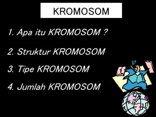KROMOSOM
1. Apa itu KROMOSOM ?
2. Struktur KROMOSOM
3. Tipe KROMOSOM
4. Jumlah KROMOSOM
 