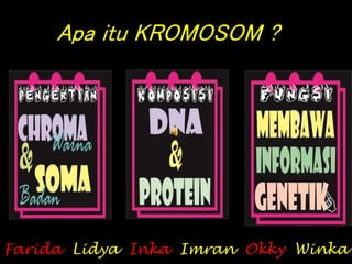 Apa itu KROMOSOM ?
Farida Lidya Inka Imran Okky Winka
 