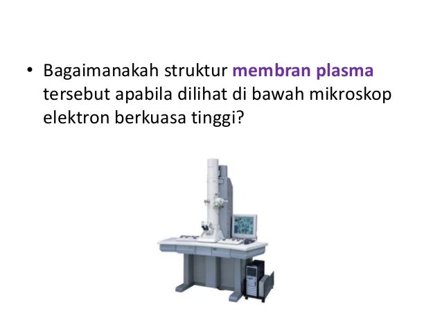 Bab 3 Pergerakan Bahan Merentas Membran Plasma