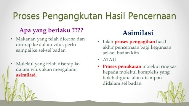 Bab 3 Proses Penyerapan Hasil Pencernaan