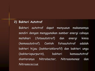 2) Bakteri Autotrof 
Bakteri autotrof dapat menyusun makanannya 
sendiri dengan menggunakan sumber energi cahaya 
matahari (fotoautotrof) dan energi kimia 
(kemoautotrof). Contoh fotoautotrof adalah 
bakteri hijau (bakterioklorofil) dan bakteri ungu 
(bakteriopurpurin), bakteri kemoautotrof 
diantaranya Nitrobacter, Nitrosomonas dan 
Nitrosococcus. 
 