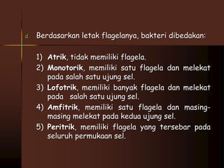 d. Berdasarkan letak flagelanya, bakteri dibedakan: 
1) Atrik, tidak memiliki flagela. 
2) Monotorik, memiliki satu flagela dan melekat 
pada salah satu ujung sel. 
3) Lofotrik, memiliki banyak flagela dan melekat 
pada salah satu ujung sel. 
4) Amfitrik, memiliki satu flagela dan masing-masing 
melekat pada kedua ujung sel. 
5) Peritrik, memiliki flagela yang tersebar pada 
seluruh permukaan sel. 
 