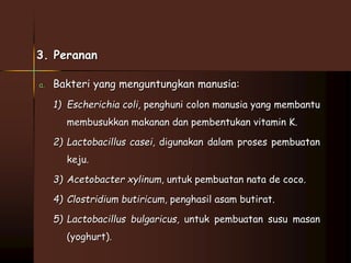 3. Peranan 
a. Bakteri yang menguntungkan manusia: 
1) Escherichia coli, penghuni colon manusia yang membantu 
membusukkan makanan dan pembentukan vitamin K. 
2) Lactobacillus casei, digunakan dalam proses pembuatan 
keju. 
3) Acetobacter xylinum, untuk pembuatan nata de coco. 
4) Clostridium butiricum, penghasil asam butirat. 
5) Lactobacillus bulgaricus, untuk pembuatan susu masan 
(yoghurt). 
 