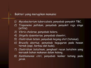b. Bakteri yang merugikan manusia: 
1) Mycobacterium tuberculosis, penyebab penyakit TBC. 
2) Treponema pallidum, penyebab penyakit raja singa 
(sifilis). 
3) Vibrio cholerae, penyebab kolera. 
4) Shigella dysenteriae, penyebab disentri. 
5) Clostridium tetani, penyebab kejang otot (tetanus). 
6) Brucella abortus, penyebab keguguran pada hewan 
ternak (sapi, kerbau dan kuda). 
7) Clostridium botulinum, penghasil racun botulinin yang 
merusak bahan makanan dalam kaleng. 
8) Xanthomonas citri, penyebab kanker batang pada 
jeruk. 
 