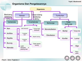 ITeach – Sains Tingkatan 2
Organisma Dan Pengelasannya
HaiwanHaiwan
Organisma
TumbuhanTumbuhan
VertebrataVertebrata InvertebrataInvertebrata
BerbungaBerbunga Tidak
berbunga
Tidak
berbunga
Ikan
Amfibia
Reptilia
Burung
Mamalia
Kaki bersendi Tanpa kaki
bersendi
3 pasang
kaki
4 pasang
kaki
Lebih
daripada 4
pasang kaki
Seperti cacing
Tidak seperti
cacing
Monokotiledon
Dikotiledon
Berbiji Tanpa biji
Konifer Lumut
Alga
Paku-
pakis
Topik 3 Biodiversiti
Bertulang
belakang
(10%)
Tanpa tulang
belakang
(90%)
 