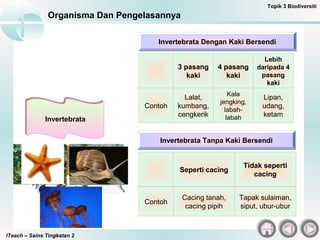 ITeach – Sains Tingkatan 2
Organisma Dan Pengelasannya
Topik 3 Biodiversiti
Invertebrata Dengan Kaki BersendiInvertebrata Dengan Kaki Bersendi
3 pasang
kaki
4 pasang
kaki
Lebih
daripada 4
pasang
kaki
Contoh
Lalat,
kumbang,
cengkerik
Kala
jengking,
labah-
labah
Lipan,
udang,
ketam
Invertebrata Tanpa Kaki BersendiInvertebrata Tanpa Kaki Bersendi
Seperti cacing
Tidak seperti
cacing
Contoh
Cacing tanah,
cacing pipih
Tapak sulaiman,
siput, ubur-ubur
InvertebrataInvertebrata
 