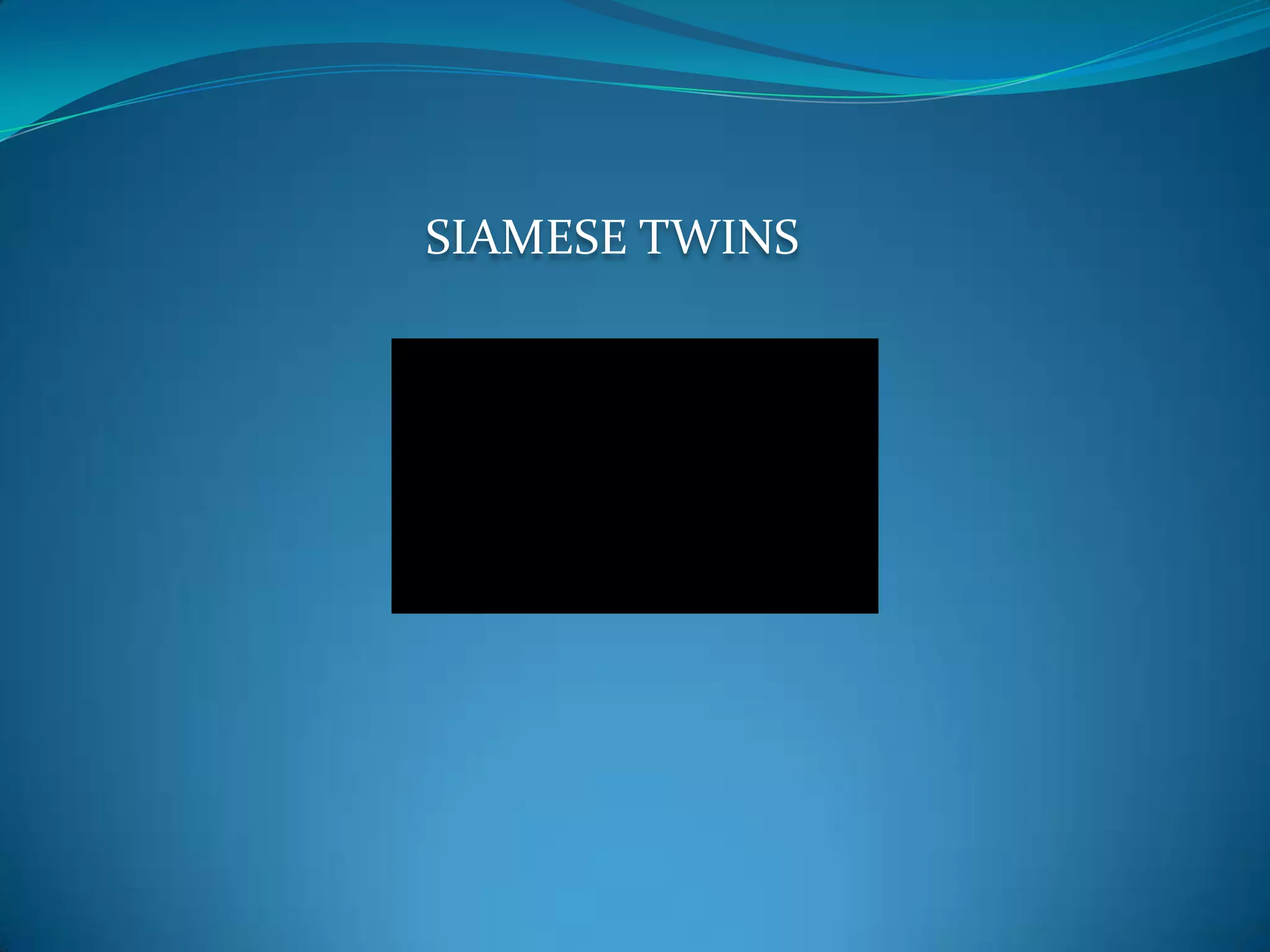 SIAMESE TWINS