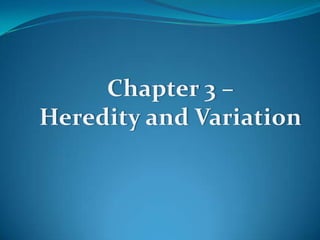 Chapter 3 – Heredity and Variation 