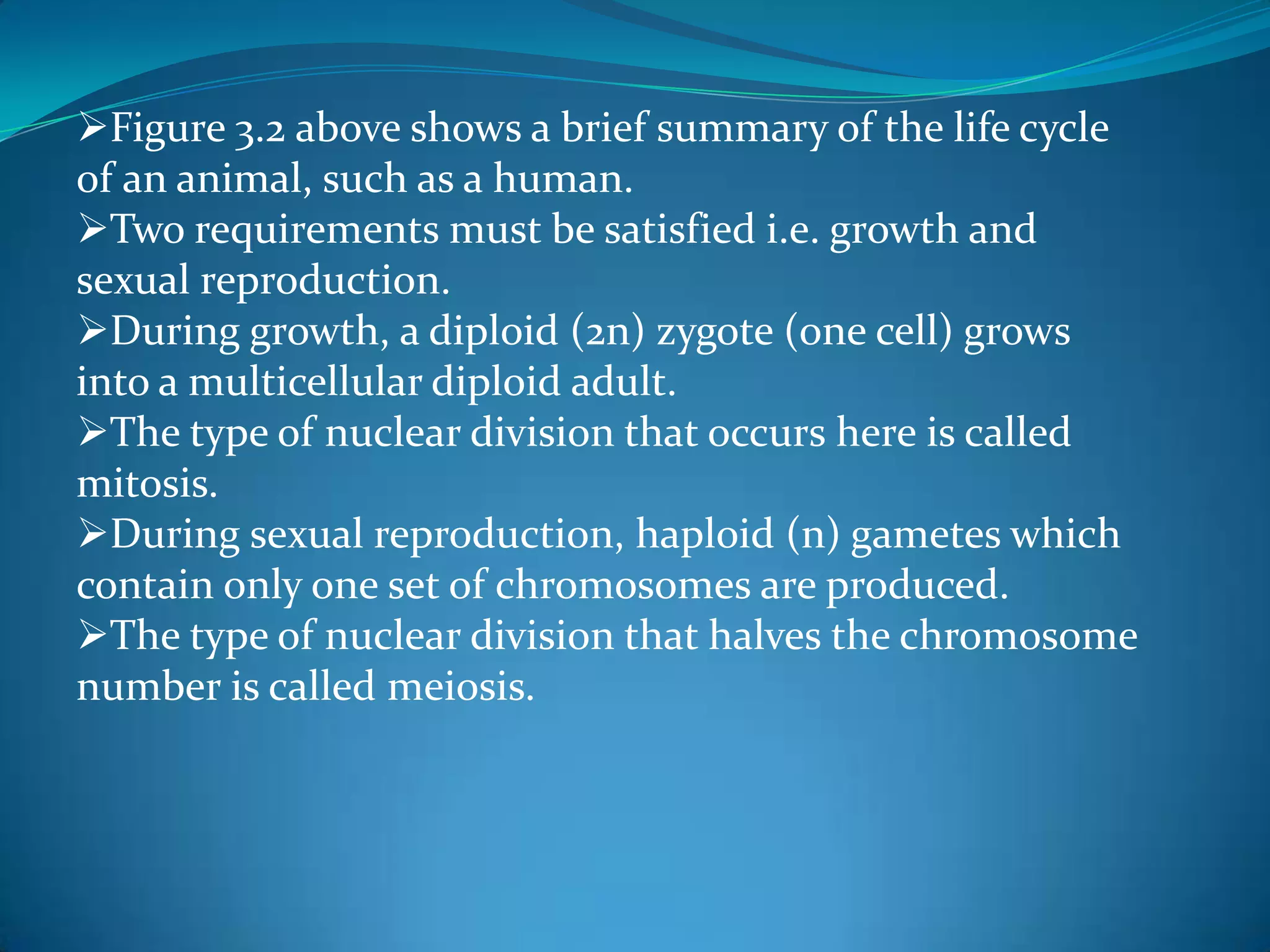 Deoxyribonucleic acids, DNA is a double helix. 