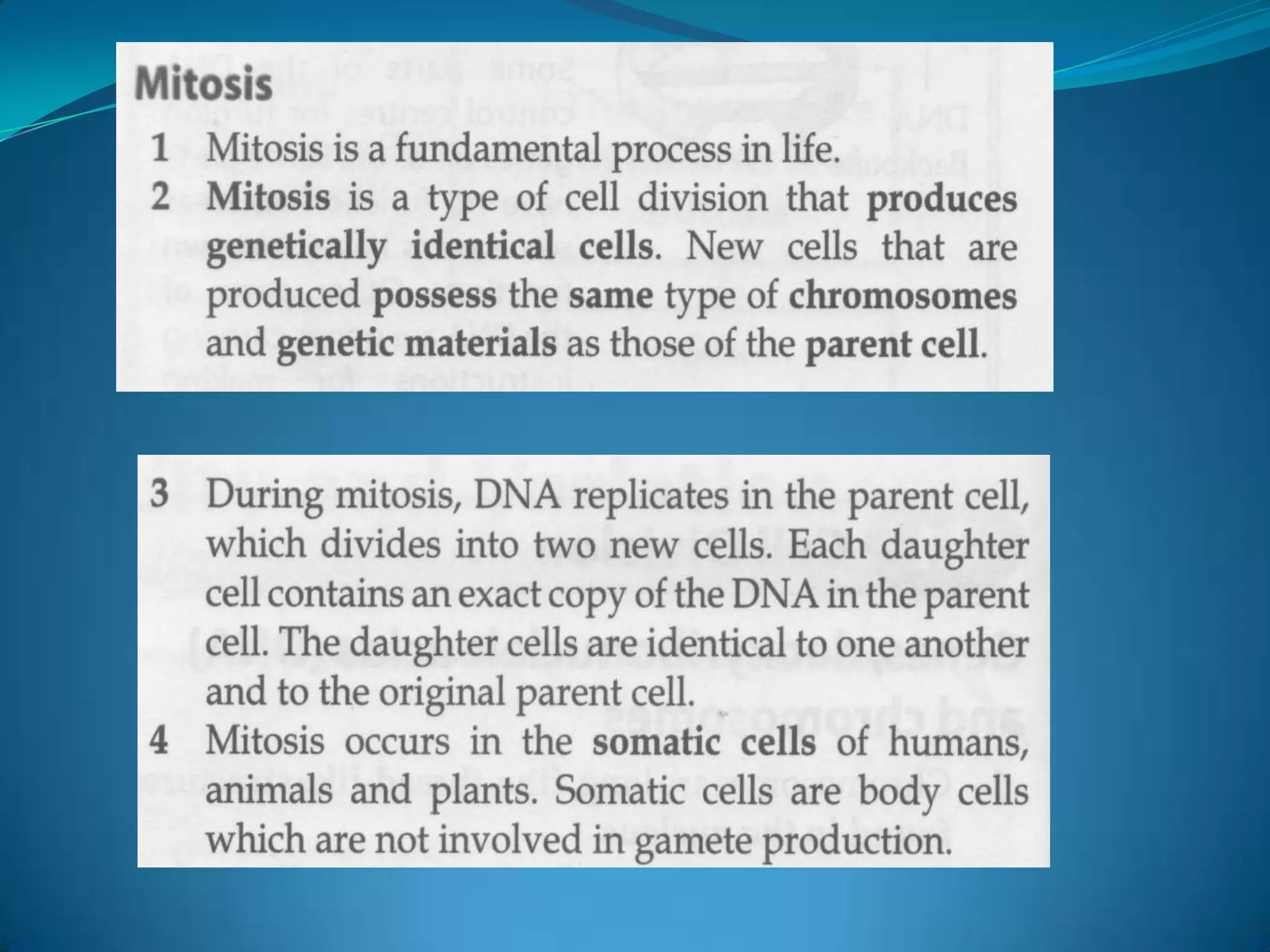These determine the individual characteristics of anorganism.