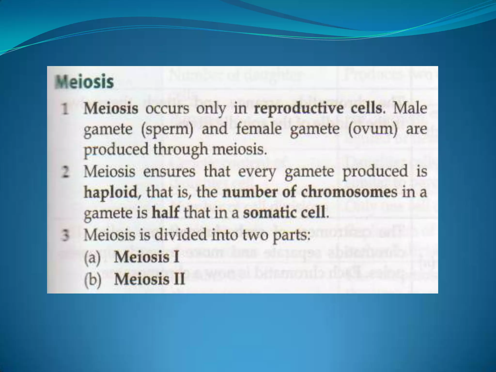 Figure 3.2 above shows a brief summary of the life cycle of an animal, such as a human. 