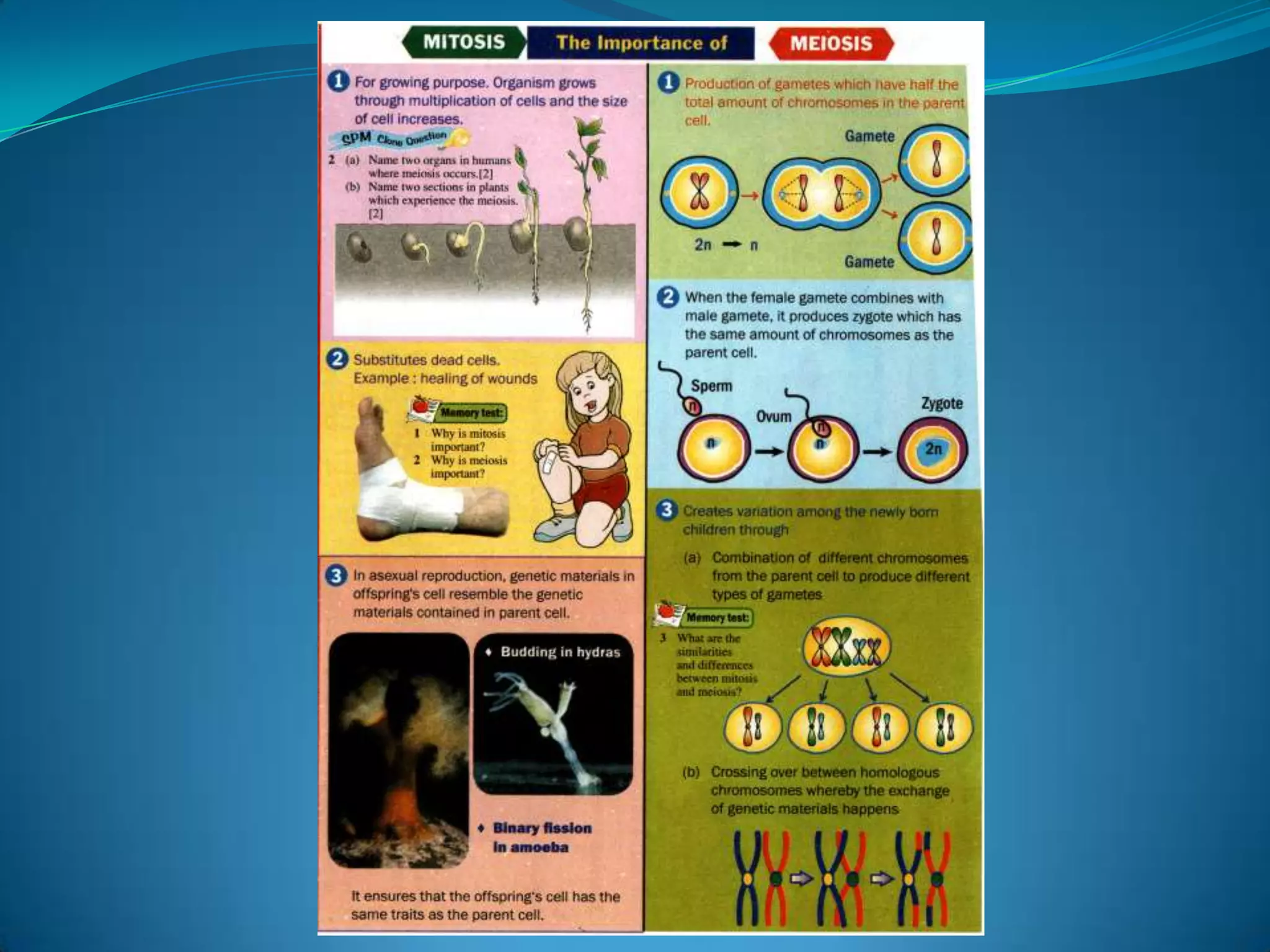 Bab 3 F 4 Part 1awal