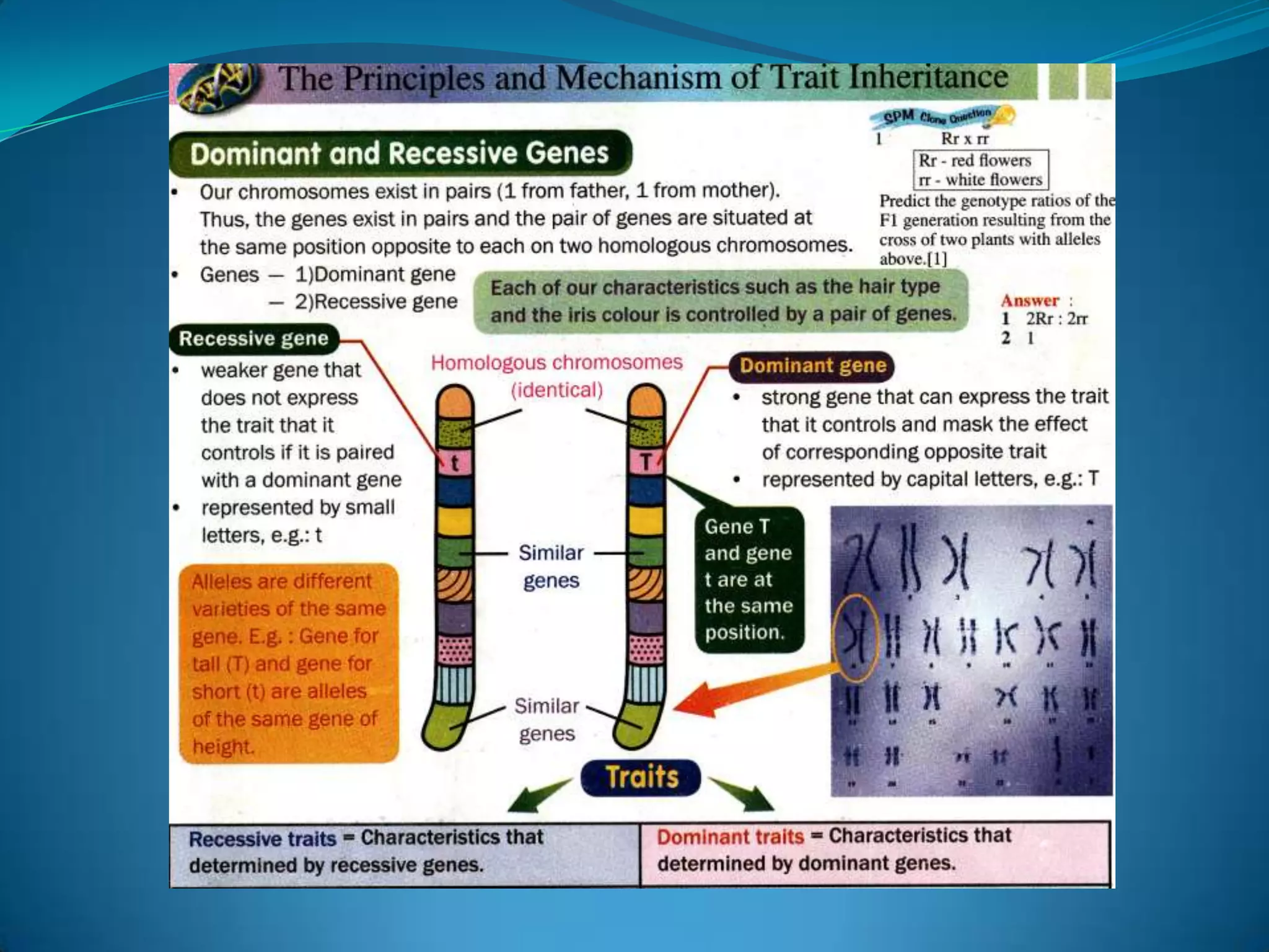 Bab 3 F 4 Part 1awal