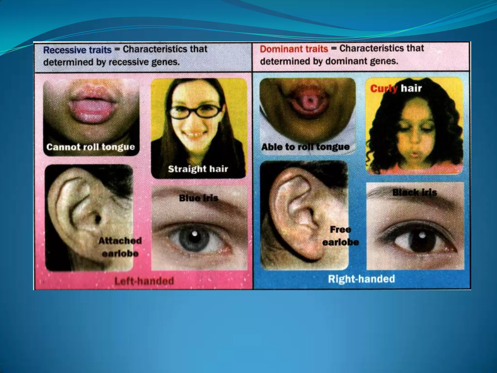 Bab 3 F 4 Part 1awal