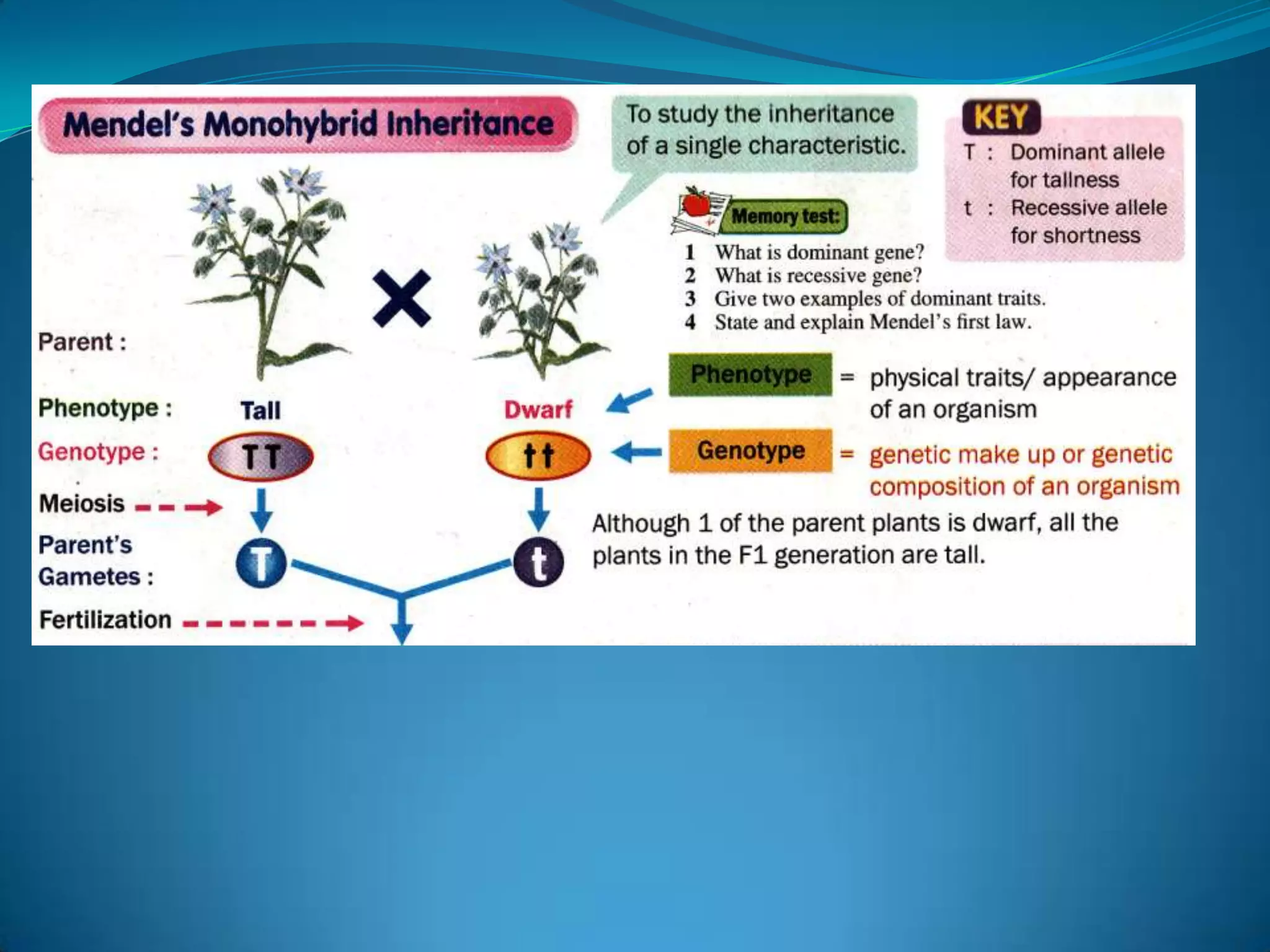 Bab 3 F 4 Part 1awal