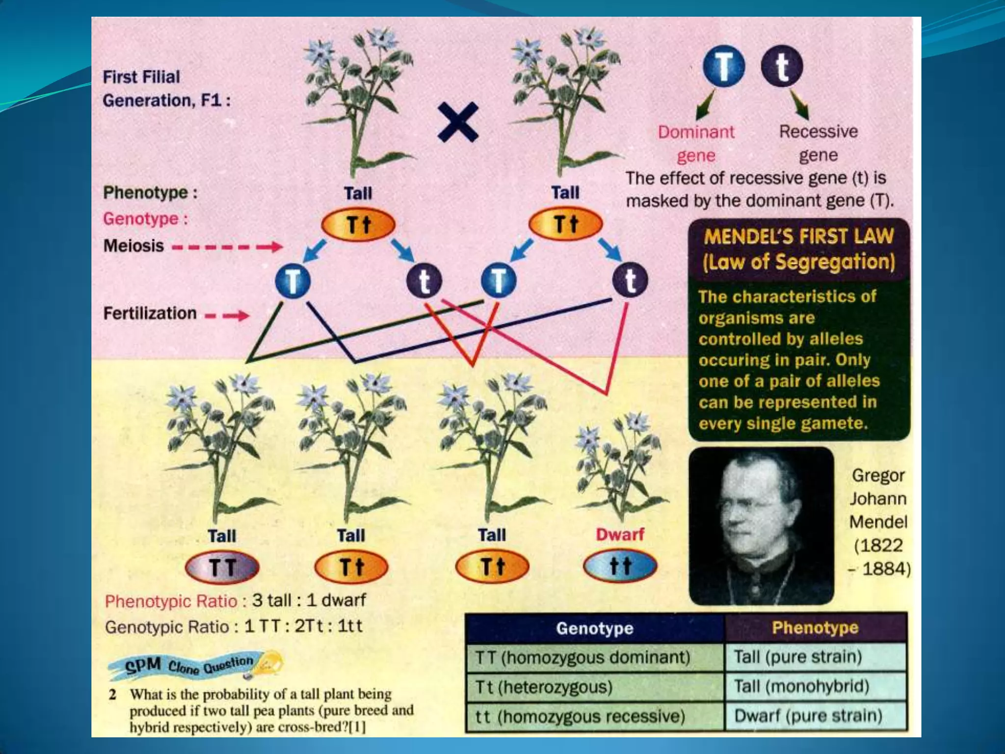 Bab 3 F 4 Part 1awal