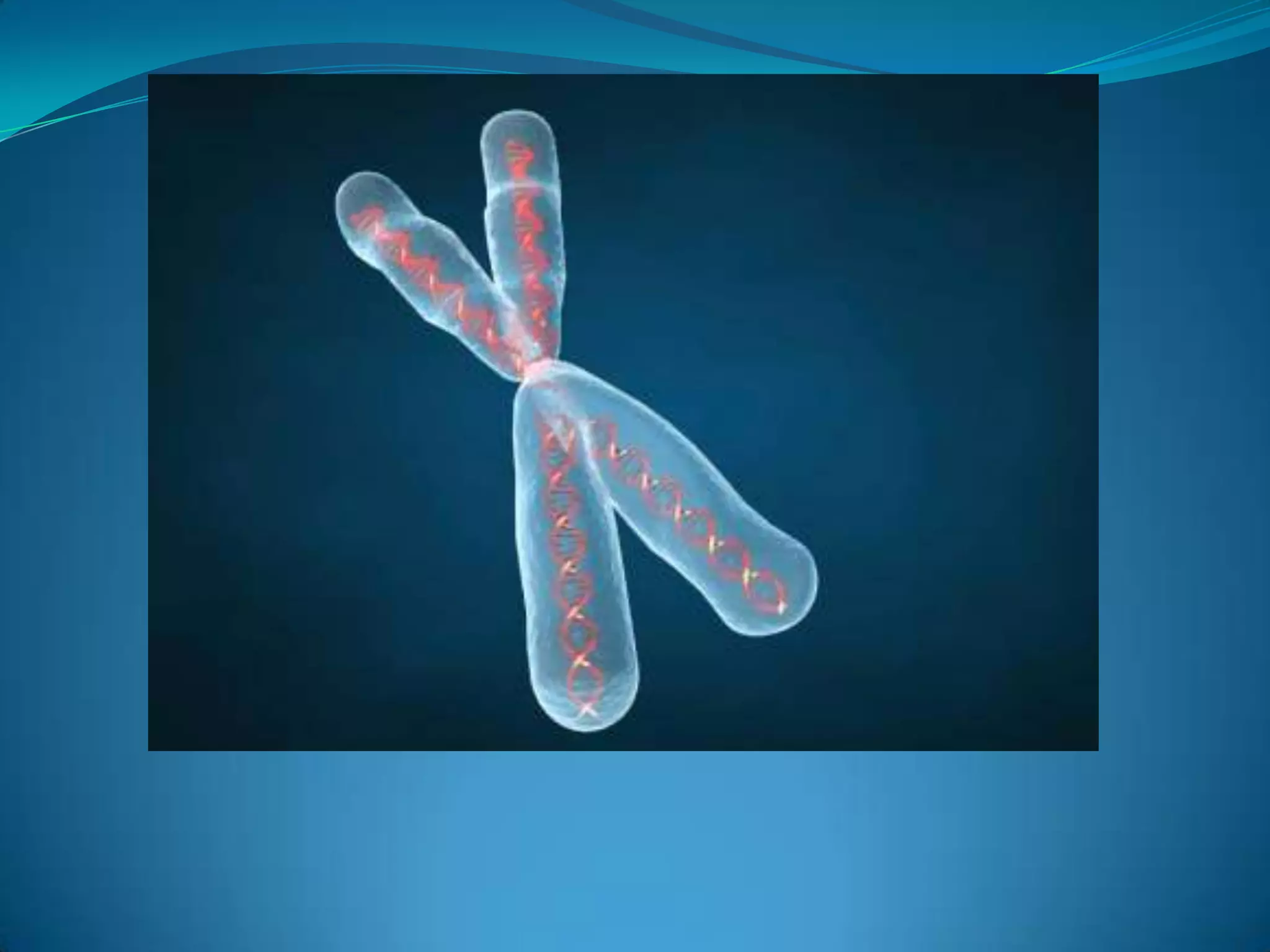 This process must be very precisely controlled so that no vital information is lost.