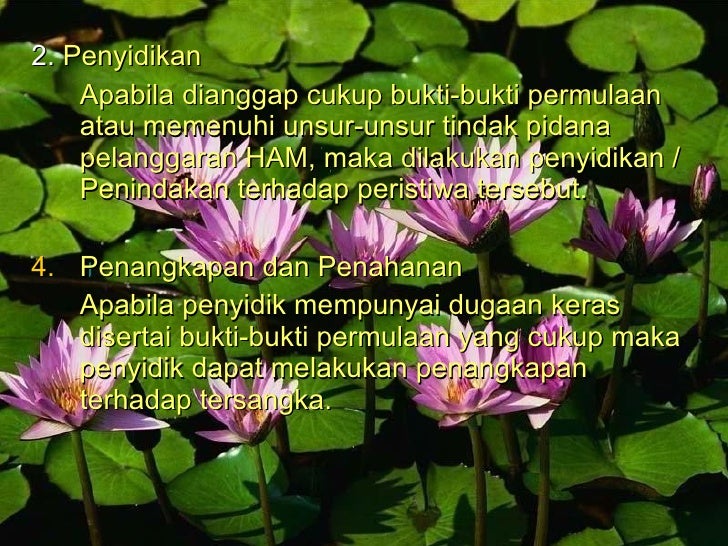 Bab 3 ham kls x retno