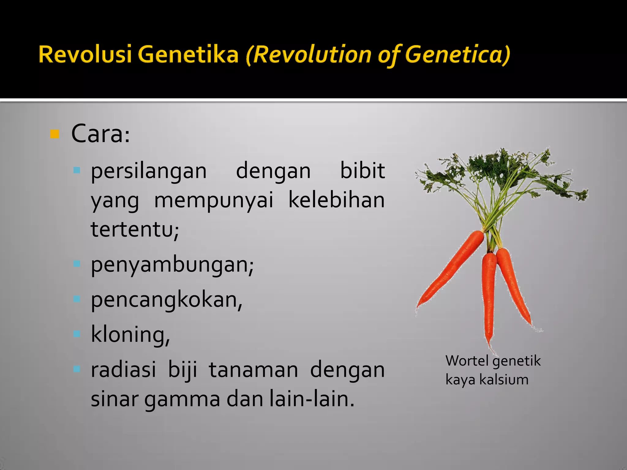 Cara: 
persilangan dengan bibit yang mempunyai kelebihan tertentu; 
penyambungan; 
pencangkokan, 
kloning, 
radiasi biji tanaman dengan sinar gamma dan lain-lain. 
Wortel genetik kaya kalsium  