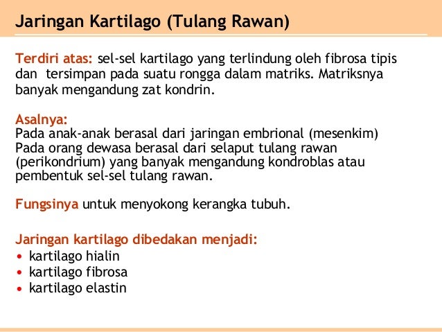 Bab 3 jaringan hewan Bab 3 jaringan hewan
