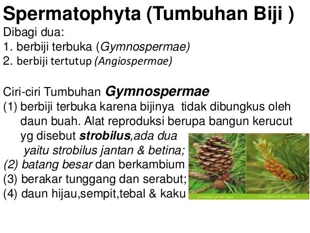 Bab 3 klasifikasi hewan dan tumbuhan