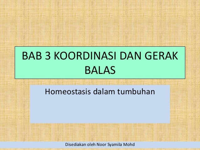 Homeostasis Tumbuhan - Lessons - Blendspace