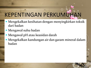 KEPENTINGAN PERKUMUHAN
 Mengekalkan kesihatan dengan menyingkirkan toksik

dari badan
 Mengawal suhu badan
 Mengawal pH atau keasidan darah
 Mengekalkan kandungan air dan garam mineral dalam
badan

 