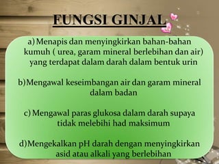 FUNGSI GINJAL
a) Menapis dan menyingkirkan bahan-bahan
kumuh ( urea, garam mineral berlebihan dan air)
yang terdapat dalam darah dalam bentuk urin
b)Mengawal keseimbangan air dan garam mineral
dalam badan
c) Mengawal paras glukosa dalam darah supaya
tidak melebihi had maksimum
d)Mengekalkan pH darah dengan menyingkirkan
asid atau alkali yang berlebihan

 