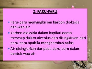2. PARU-PARU
 Paru-paru menyingkirkan karbon dioksida

dan wap air
 Karbon dioksida dalam kapilari darah
meresap dalam alveolus dan disingkirkan dari
paru-paru apabila menghembus nafas
 Air disingkirkan daripada paru-paru dalam
bentuk wap air

 