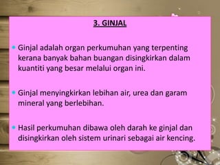 3. GINJAL
 Ginjal adalah organ perkumuhan yang terpenting

kerana banyak bahan buangan disingkirkan dalam
kuantiti yang besar melalui organ ini.
 Ginjal menyingkirkan lebihan air, urea dan garam
mineral yang berlebihan.
 Hasil perkumuhan dibawa oleh darah ke ginjal dan
disingkirkan oleh sistem urinari sebagai air kencing.

 