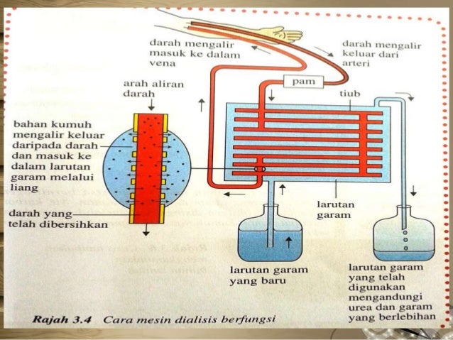 Bab 3 perkumuhan