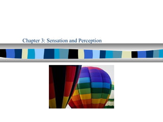 Chapter 3: Sensation and Perception
 