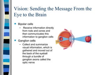 Vision: Sending the Message From the
Eye to the Brain
 Bipolar cells
– Receive information directly
from rods and cones a...