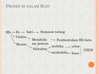 PROSES DI DALAM HATI
Hb Fe
Globin
Hemin
hati Sumsum tulang
Metabolis
me protein
Pembentukan Hb baru
bilirubin
urobilin
sterkobilin
urine
feses
USUS
 