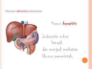 PENYAKIT HEPATITIS DI INDONESIA
Kasus hepatitis
di
Indonesia cukup
banyak
dan menjadi perhatian
khusus pemerintah.
 