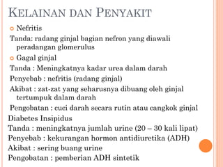 KELAINAN DAN PENYAKIT
 Nefritis
Tanda: radang ginjal bagian nefron yang diawali
peradangan glomerulus
 Gagal ginjal
Tanda : Meningkatnya kadar urea dalam darah
Penyebab : nefritis (radang ginjal)
Akibat : zat-zat yang seharusnya dibuang oleh ginjal
tertumpuk dalam darah
Pengobatan : cuci darah secara rutin atau cangkok ginjal
Diabetes Insipidus
Tanda : meningkatnya jumlah urine (20 – 30 kali lipat)
Penyebab : kekurangan hormon antidiuretika (ADH)
Akibat : sering buang urine
Pengobatan : pemberian ADH sintetik
 