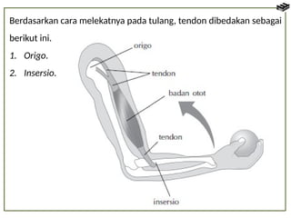 Bab 3 Sistem Gerak Manusia.pptx materi SMA | PPTX