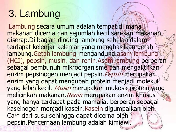 Bab 3 sistem pencernaan pada manusia