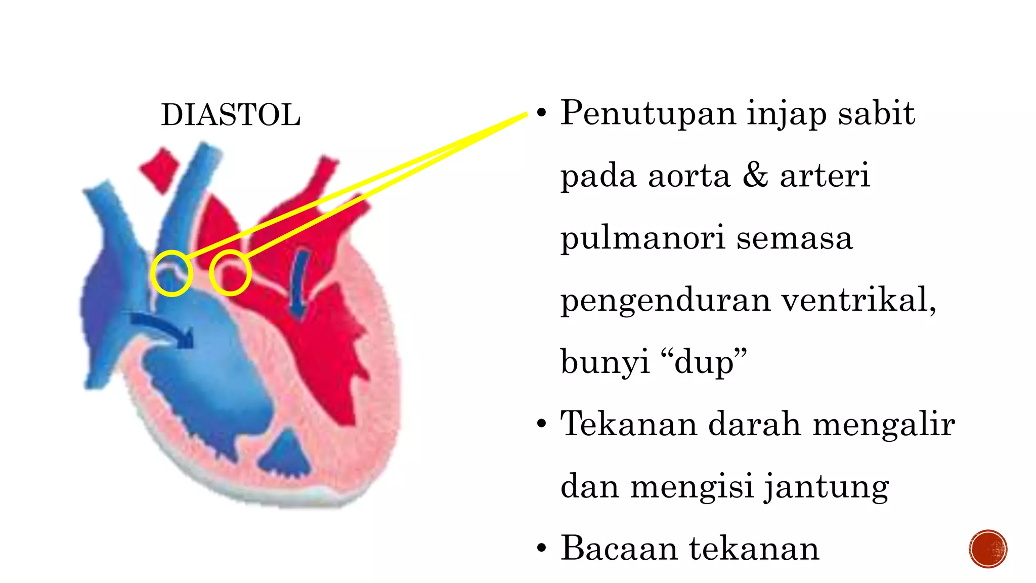 Injap Bab 3 sistem peredaran darah manusia | PPTX