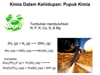 Kimia Dalam Kehidupan: Pupuk Kimia
Tumbuhan membutuhkan:
N, P, K, Ca, S, & Mg
3H2 (g) + N2 (g) 2NH3 (g)
NH3 (aq) + HNO3 (aq) NH4NO3 (aq)
2Ca5(PO4)3F (s) + 7H2SO4 (aq)
3Ca(H2PO4)2 (aq) + 7CaSO4 (aq) + 2HF (g)
fluorapatite
 