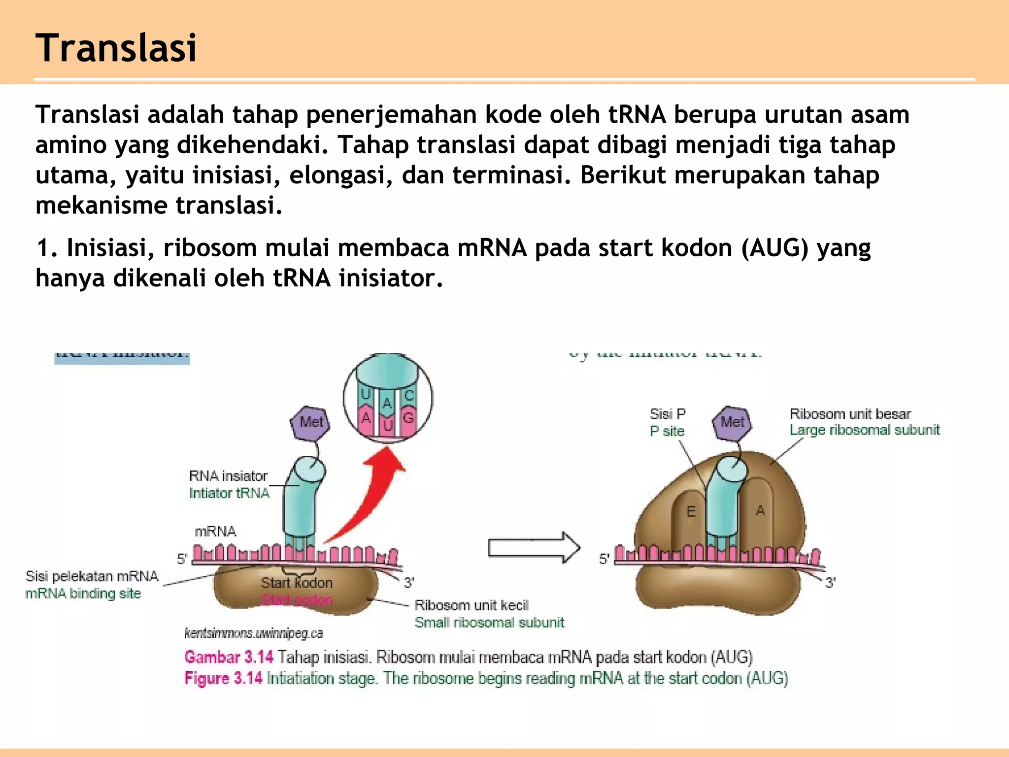 Bab 3 substansi genetik kelas XII IPA | PPT
