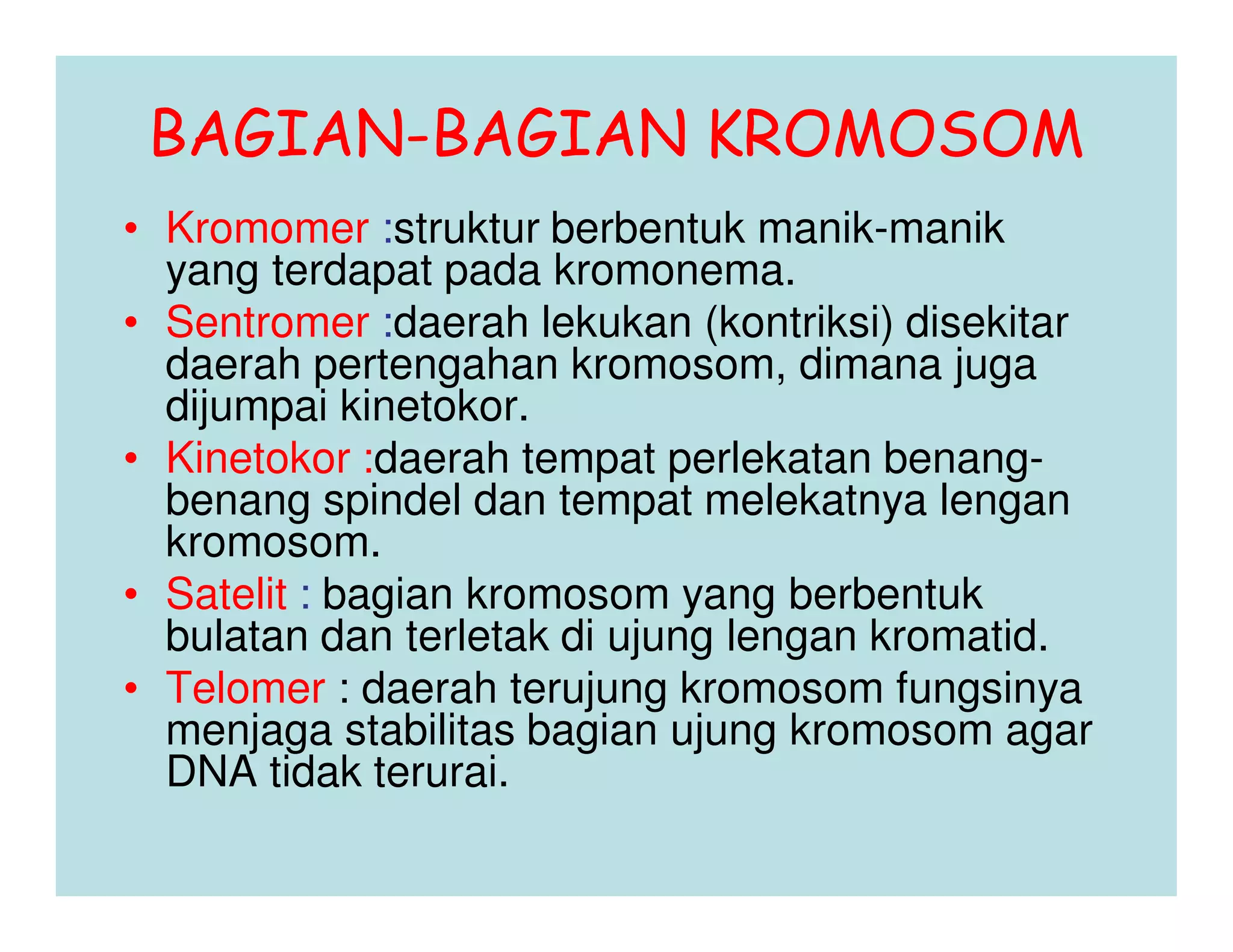 BAGIAN-BAGIAN KROMOSOM
• Kromomer :struktur berbentuk manik-manik
  yang terdapat pada kromonema.
• Sentromer :daerah lekukan (kontriksi) disekitar
  daerah pertengahan kromosom, dimana juga
  dijumpai kinetokor.
• Kinetokor :daerah tempat perlekatan benang-
  benang spindel dan tempat melekatnya lengan
  kromosom.
• Satelit : bagian kromosom yang berbentuk
  bulatan dan terletak di ujung lengan kromatid.
• Telomer : daerah terujung kromosom fungsinya
  menjaga stabilitas bagian ujung kromosom agar
  DNA tidak terurai.
 