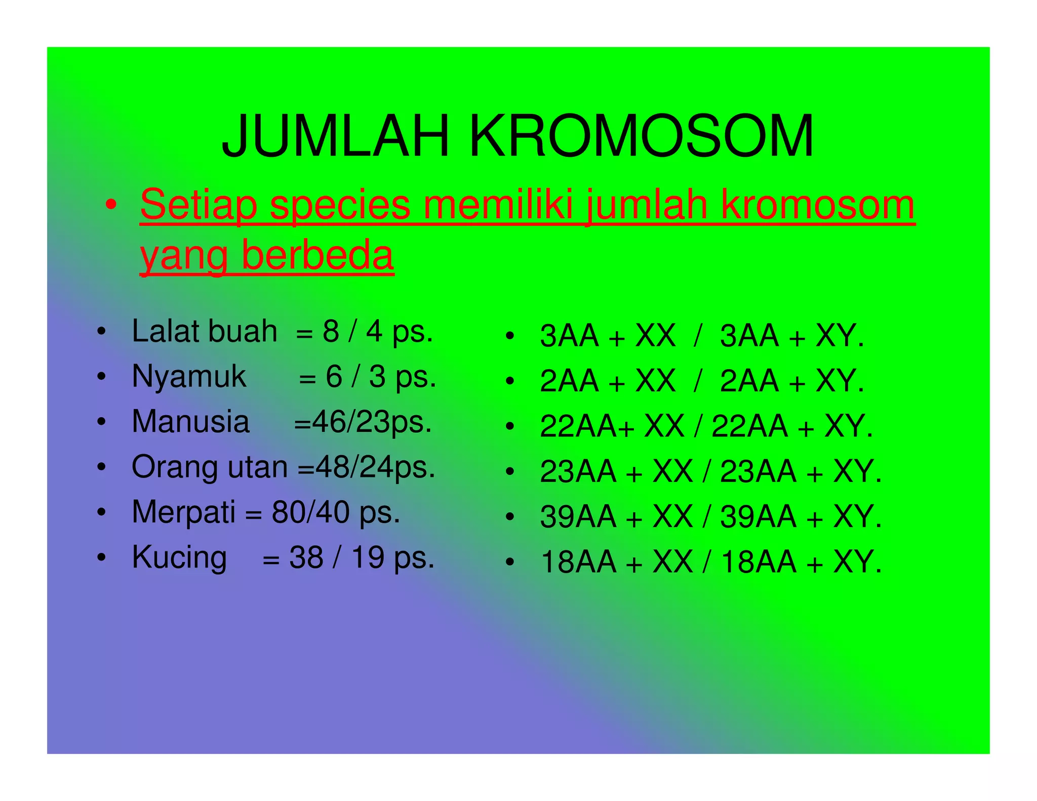 JUMLAH KROMOSOM
• Setiap species memiliki jumlah kromosom
  yang berbeda
•   Lalat buah = 8 / 4 ps.    •   3AA + XX / 3AA + XY.
•   Nyamuk      = 6 / 3 ps.   •   2AA + XX / 2AA + XY.
•   Manusia =46/23ps.         •   22AA+ XX / 22AA + XY.
•   Orang utan =48/24ps.      •   23AA + XX / 23AA + XY.
•   Merpati = 80/40 ps.       •   39AA + XX / 39AA + XY.
•   Kucing = 38 / 19 ps.      •   18AA + XX / 18AA + XY.
 
