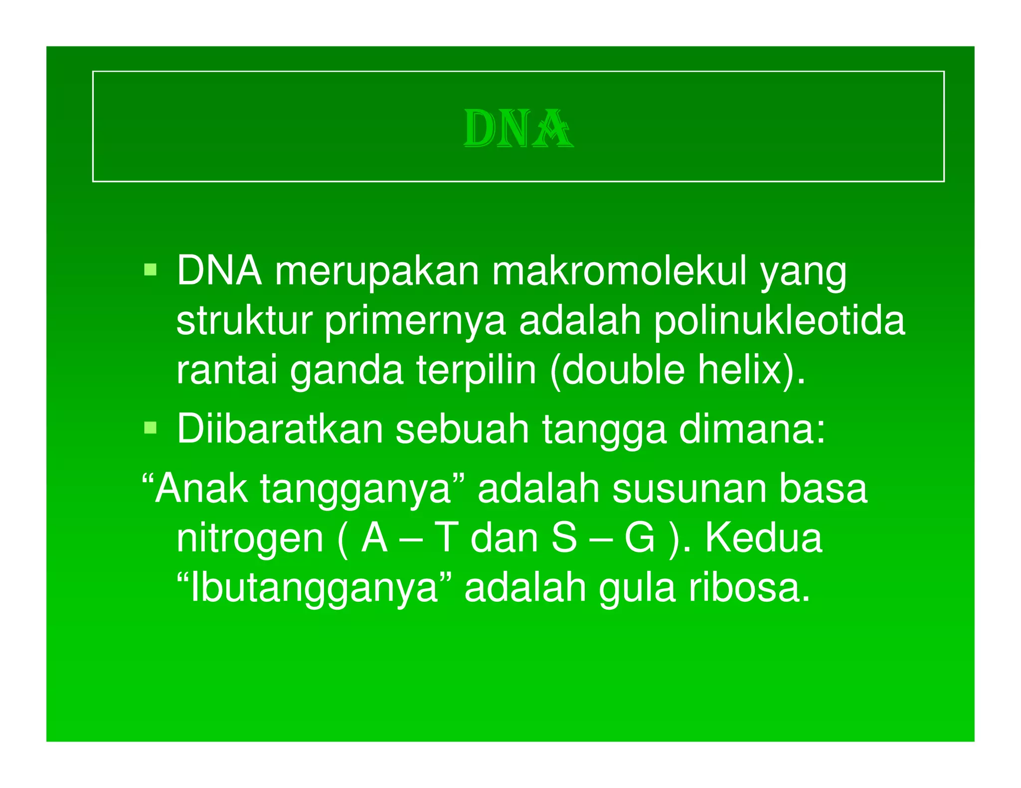DNA

  DNA merupakan makromolekul yang
  struktur primernya adalah polinukleotida
  rantai ganda terpilin (double helix).
  Diibaratkan sebuah tangga dimana:
                               dimana:
“Anak tangganya” adalah susunan basa
       tangganya”
  nitrogen ( A – T dan S – G ). Kedua
  “Ibutangganya” adalah gula ribosa.
   Ibutangganya”               ribosa.
 