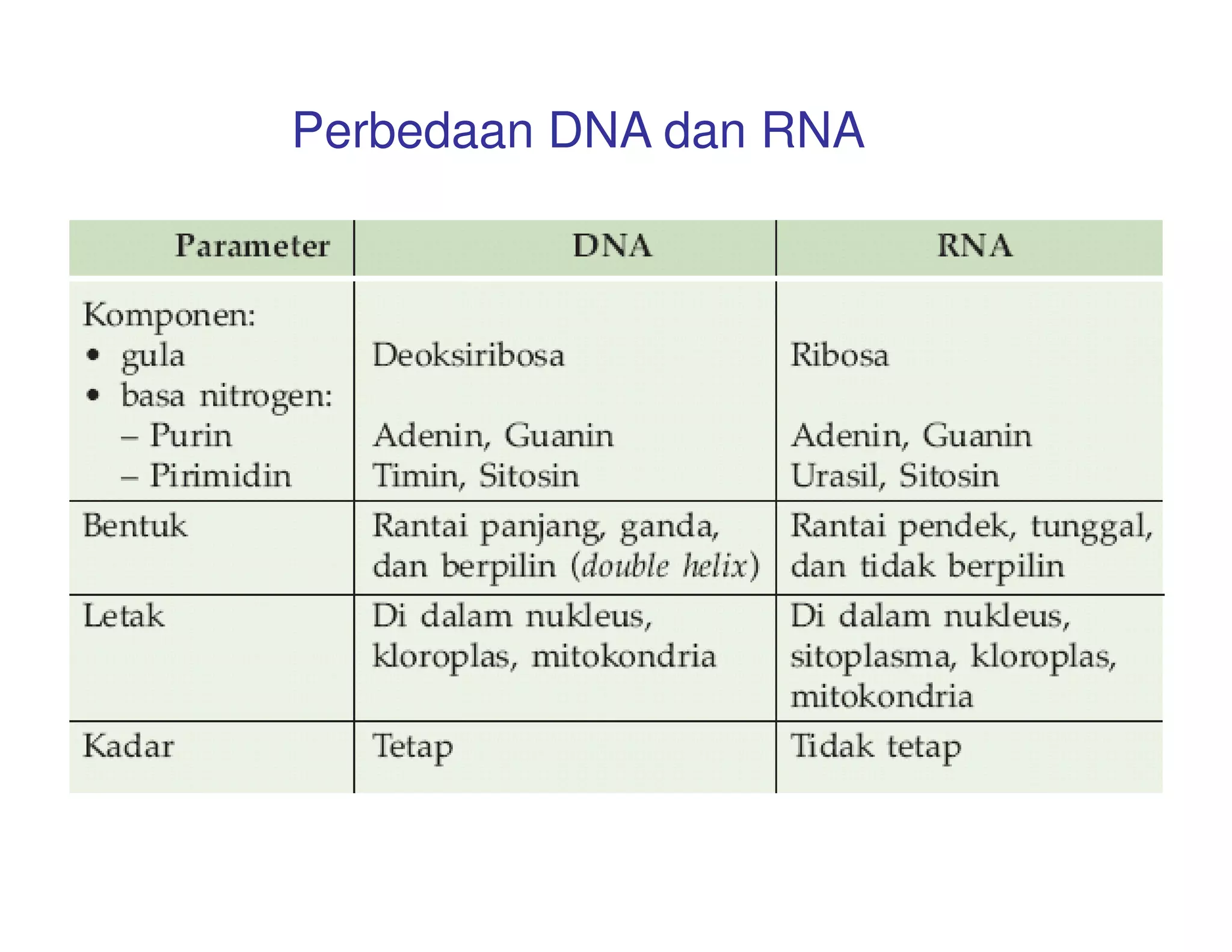 Perbedaan DNA dan RNA
 