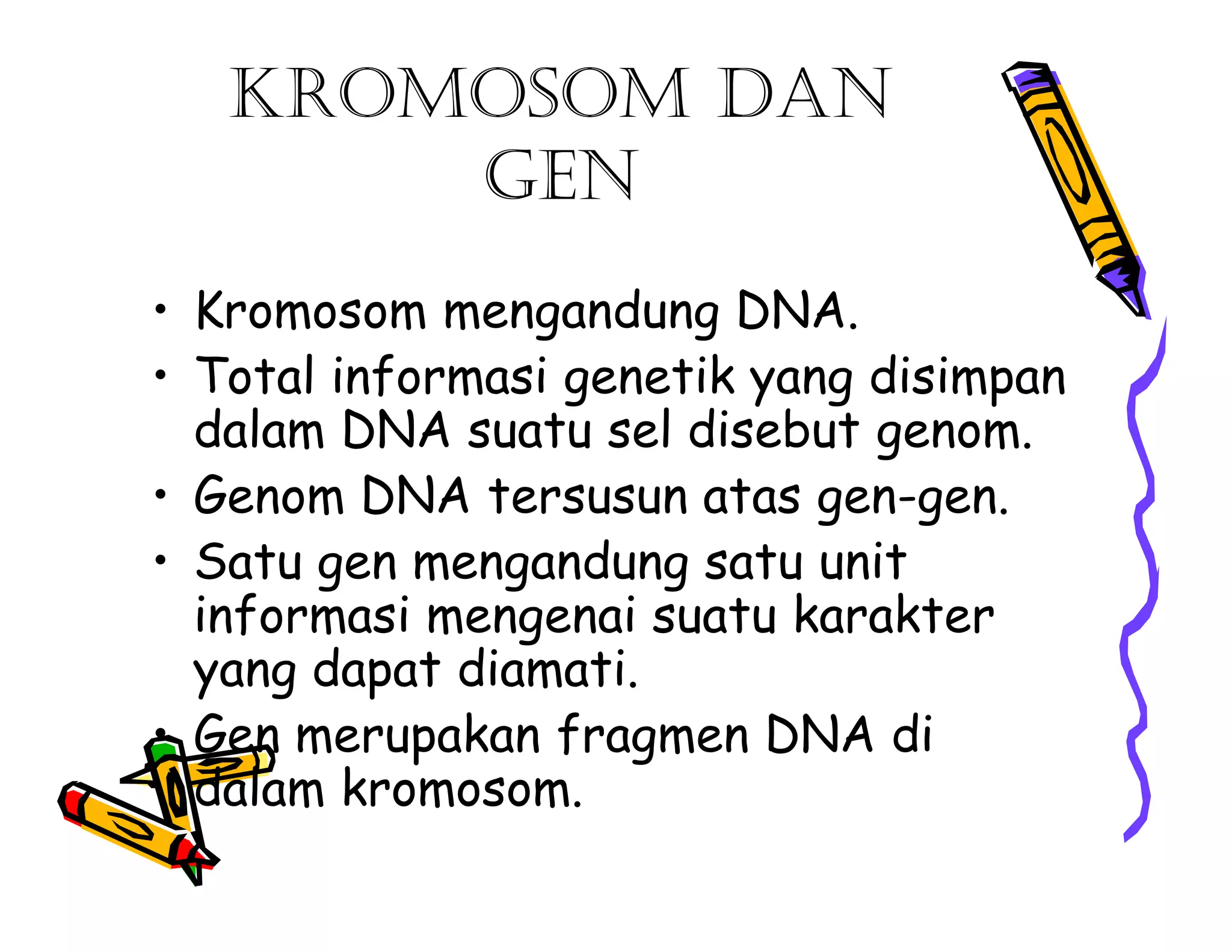KROMOSOM DAN
       GEN
• Kromosom mengandung DNA.
• Total informasi genetik yang disimpan
  dalam DNA suatu sel disebut genom.
• Genom DNA tersusun atas gen-gen.
• Satu gen mengandung satu unit
  informasi mengenai suatu karakter
  yang dapat diamati.
• Gen merupakan fragmen DNA di
  dalam kromosom.
 