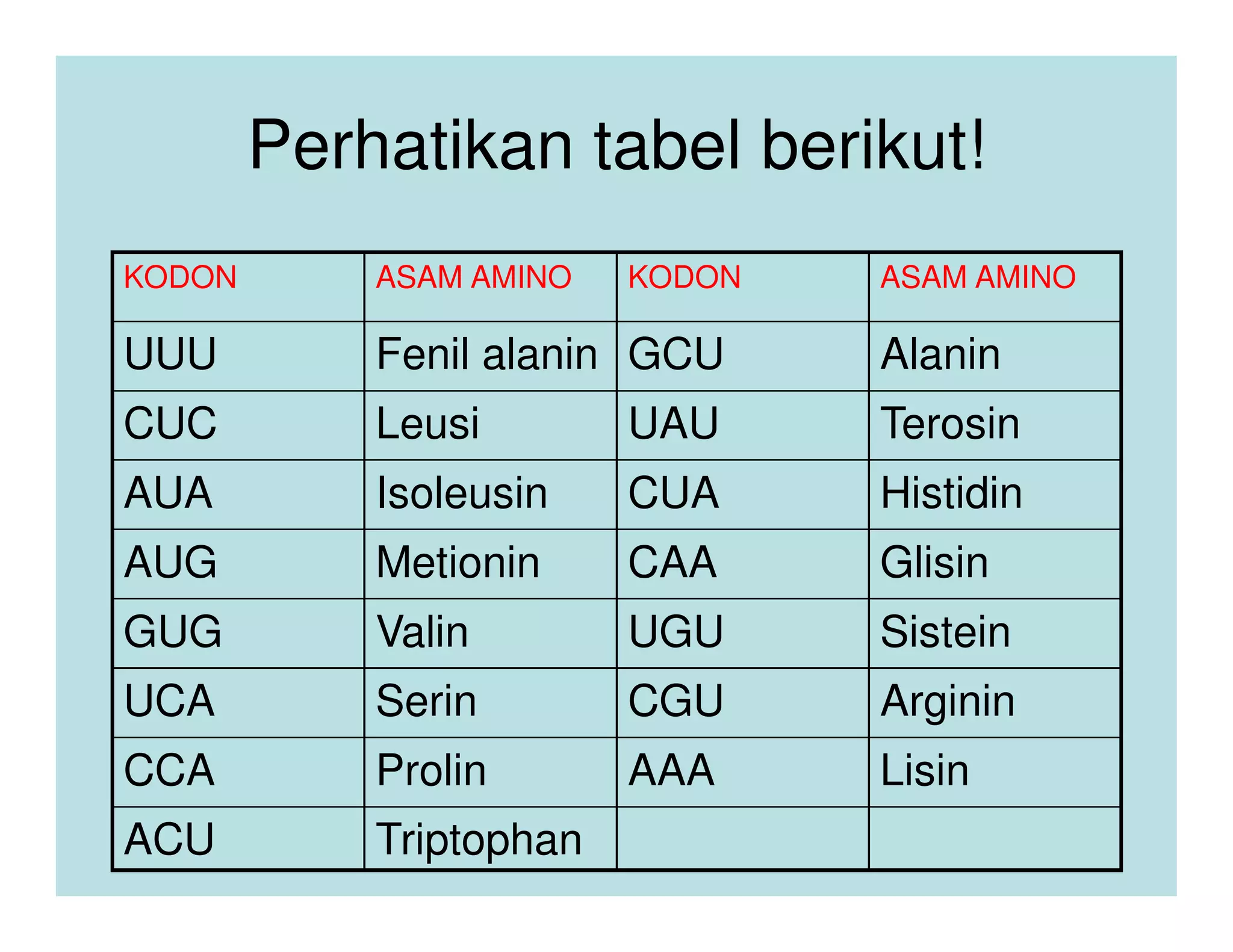 Perhatikan tabel berikut!
KODON       ASAM AMINO   KODON   ASAM AMINO

UUU         Fenil alanin GCU     Alanin
CUC         Leusi        UAU     Terosin
AUA         Isoleusin    CUA     Histidin
AUG         Metionin     CAA     Glisin
GUG         Valin        UGU     Sistein
UCA         Serin        CGU     Arginin
CCA         Prolin       AAA     Lisin
ACU         Triptophan
 