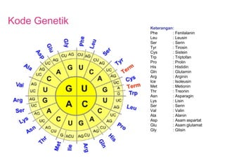 substansi genetika | PPT